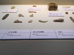 -安阳博物馆