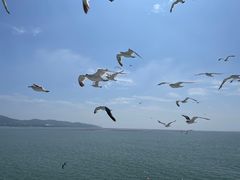 -长岛南北长山旅游景区