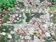 -清泉馆(望江路店)