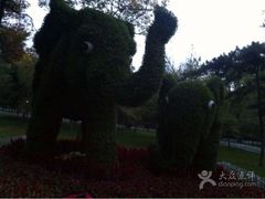 iphone_upload_pic-迎泽公园