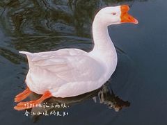 -太原动物园