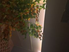 -A+阿加汤宿(大悦城店)