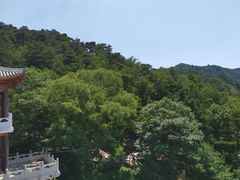 -京北渔家傲