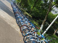 -杭州师范大学(下沙校区)