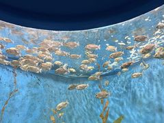 -欢乐海岸海洋奇梦馆