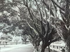 -均和墟历史街区-平和大押