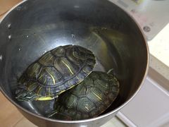 -SPA·印象足道养生(大运河度假区四望亭店)