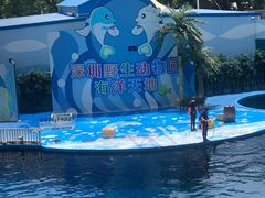 -深圳野生动物园