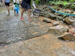 -火炉山森林公园