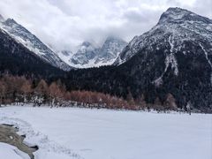 -金鼎雪山牦牛杂火锅(理县总店)