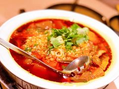 -荟廷·晶萃(陆家嘴尚悦湾店)