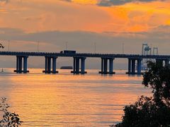 -宝安西湾红树林湿地公园