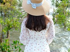 -宝安西湾红树林湿地公园