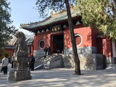 -少林寺欢喜地素斋馆