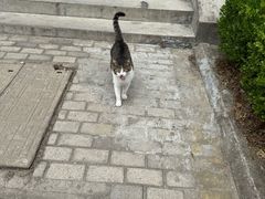 -苏州工学院(东湖校区)