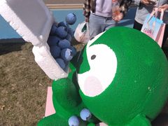 -堤角公园