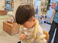 -吉丁鸟咖·异宠·寄养