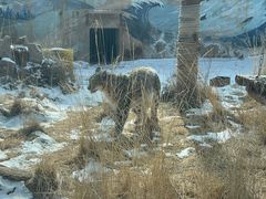 -青藏高原野生动物园