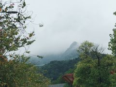 -南丹山森林王国