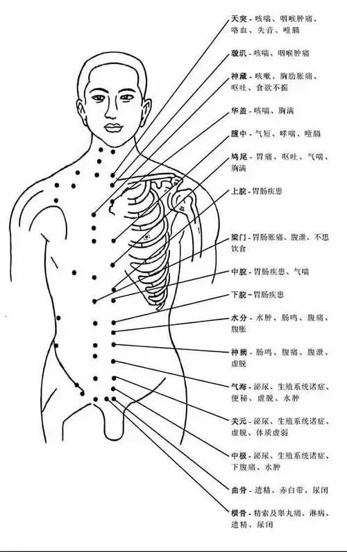 腹部经络图图解图片