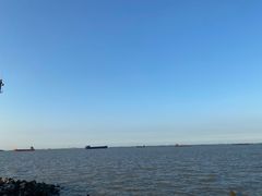 -上海滨江森林公园