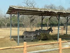 -西安秦岭野生动物园