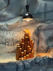 -Zoolung Zoolung动物主题公园(海信广场店)