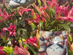 -山东嘉汇文化用品有限公司张店凤凰国际分公司(新村西路店)