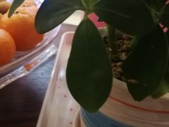 -小菜园新徽菜(常州武进吾悦店)