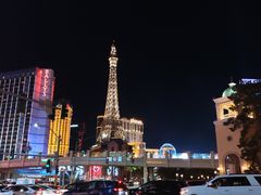 -拉斯维加斯永利酒店