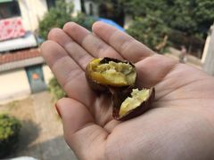 -阿男野栗王(金门路店)