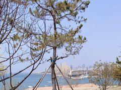 -小麦岛公园