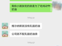-维尔纳斯·生日蛋糕·动物奶油冰淇淋蛋糕(六里桥店)