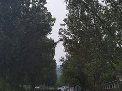 -小时光咖啡馆(开森度假森林店)