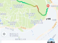 -紫金山山顶公园