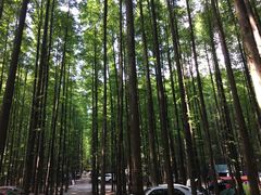 -山王坪喀斯特国家生态公园