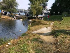 -长白岛森林公园