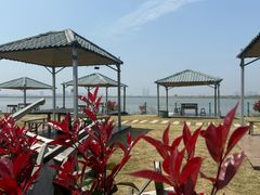 -南汇嘴观海公园