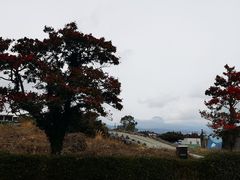 -爱来魔相4D艺术馆(济州中文馆)