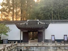 -上海醉白池公园