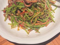 -玖五京菜(杭州城北万象城店)