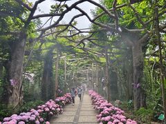 -广西壮族自治区药用植物园