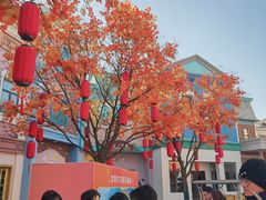 -沈阳方特欢乐世界