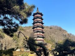 -牛首山文化旅游区