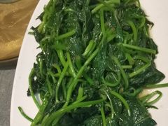 清炒红薯叶-鑫小城故事·砂锅·排骨藕汤(兴业路店)