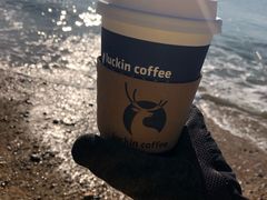 -瑞幸咖啡(大连软件园9号楼店)