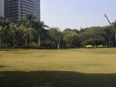 -东风公园