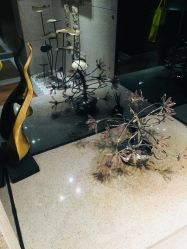 -广州萨谛艾扬格瑜伽中心