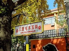 -三里屯东五街银杏大道