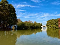 -上海海湾国家森林公园